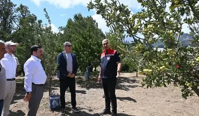 İlk Hasat Gerçekleşti