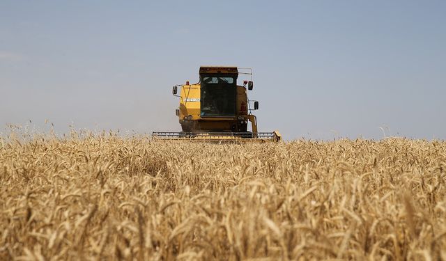 ÇKS  başvuruları e-Devlet üzerinden alınmaya başlandı