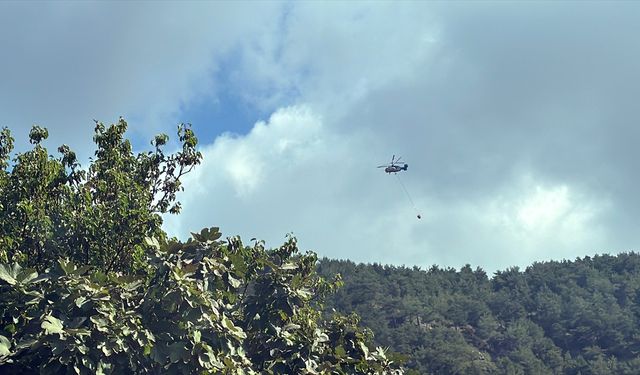 Hatay'da çıkan orman yangını kontrol altına alındı