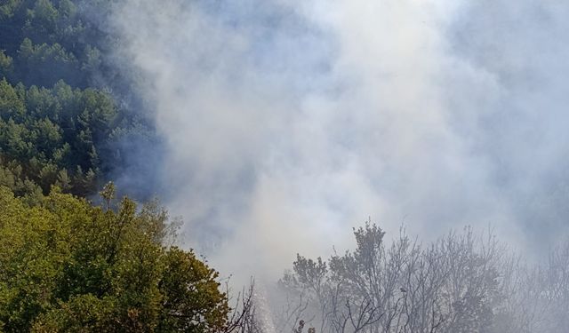 Hatay'da çıkan orman yangını söndürüldü