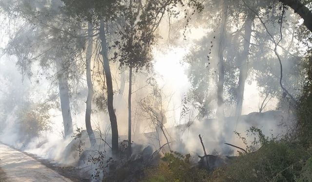 Osmaniye’de otluk alanda çıkan yangın söndürüldü