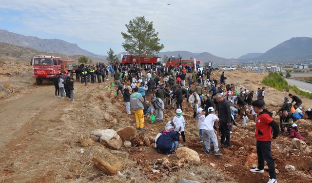 Adana ve Mersin'in ilçelerinde Milli Ağaçlandırma Günü'nde fidan dikildi