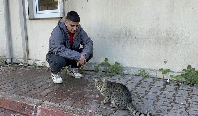 Adana'da kedinin, işçinin öğle yemeğini alıp kaçması kamerada