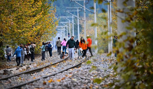 Adana'daki Belemedik Tabiat Parkı sonbahar renklerine büründü