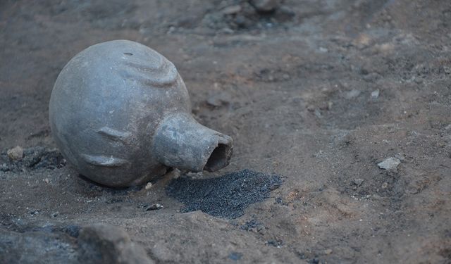 Seyitömer Höyüğü'nde Tunç Çağı'ndan kalma haşhaş ve nohut taneleri bulundu