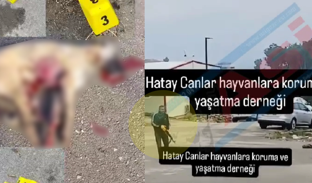 Hatay Kırıkhan’da İnfial Yaratan Görüntüler