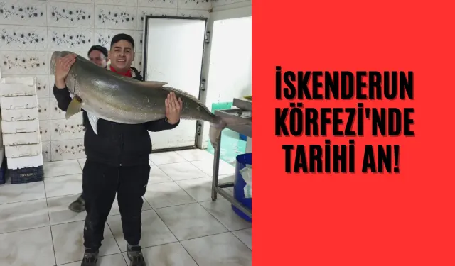İskenderun Körfezi'nde Tarihi An!  Uzunluğu 1 metre, ağırlığı 50 kilo