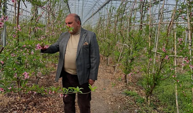 “Cemreler Gönüllere Düşsün”