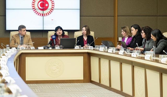 Kadına Karşı Şiddet ve Ayrımcılığın Önlenmesine Yönelik Meclis Araştırma Komisyonu, BM Türkiye yetkililerini dinledi