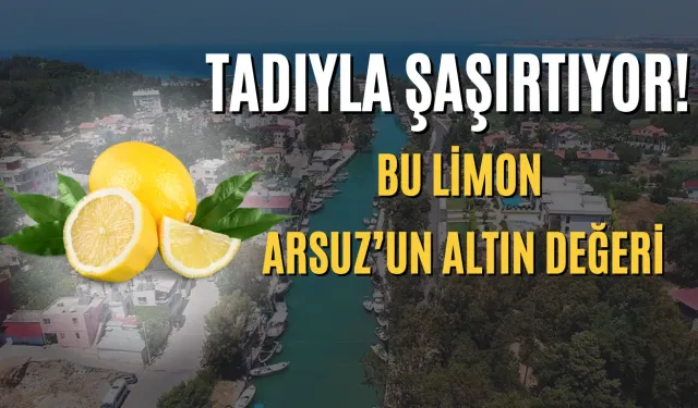Tadıyla Şaşırtıyor! Bu Limon Arsuz’un Altın Değeri