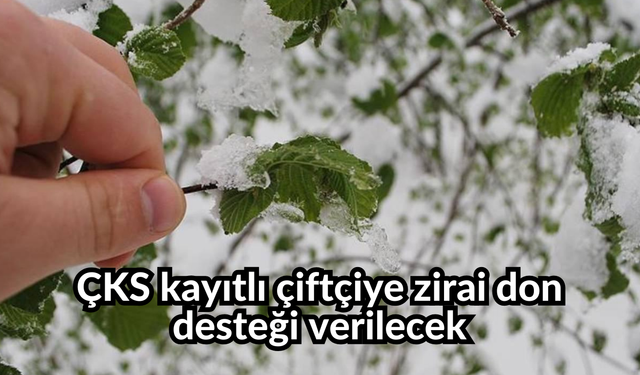 ÇKS kayıtlı çiftçiye zirai don desteği verilecek