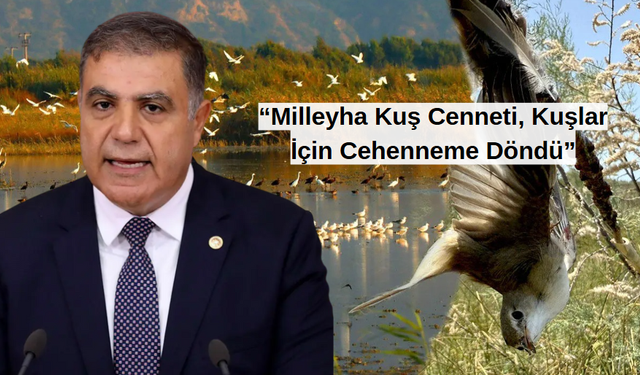 “Milleyha Kuş Cenneti, Kuşlar İçin Cehenneme Döndü”