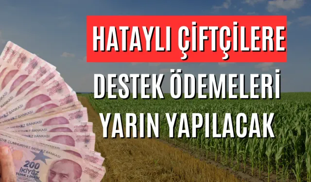 Hataylı Çiftçilere Destek Ödemeleri Yarın Yapılacak