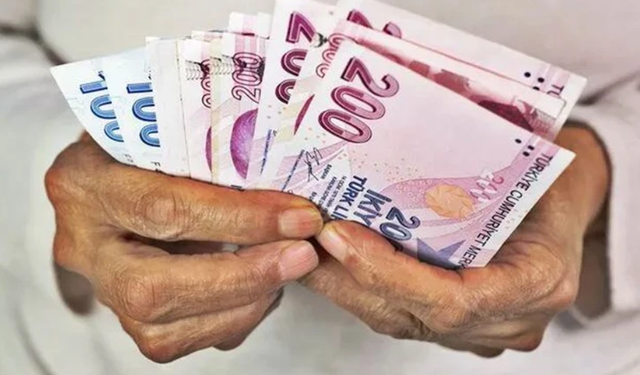 Vatandaşlık Maaşı Başlıyor: Kimler Yararlanacak?