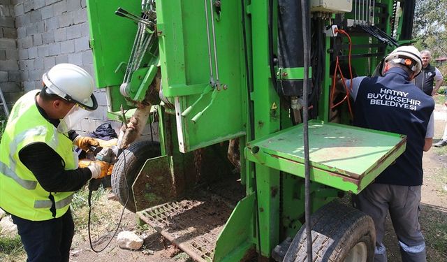 Hatay Büyükşehir Belediyesinden besicilere hayvan bakım desteği