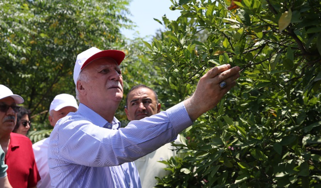 Zirai Don Yaşayan Hatay Destek Dışı Bırakılmıştı! Sırada Zirai Kuraklık Var