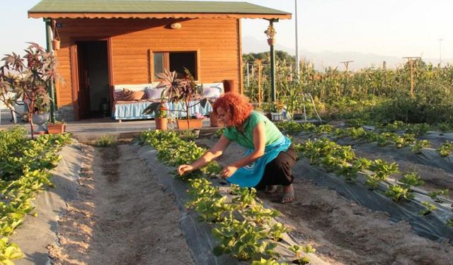 Toprakla Şifa: Bahçe Uğraşları Unutkanlığa İyi Geliyor