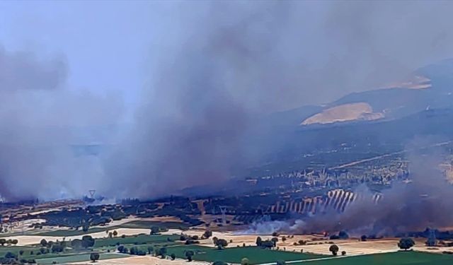 İzmir'de çıkan orman yangınına müdahale ediliyor