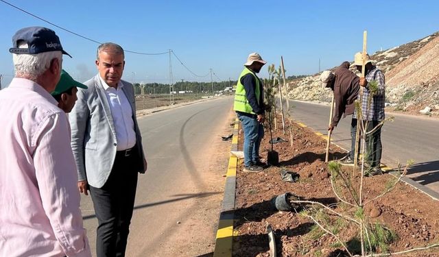 Kırıkhan’da Yörükler Bulvarı Yeşilleniyor!