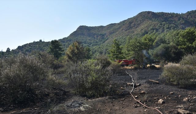 Marmaris'te çıkan orman yangını kontrol altına alındı