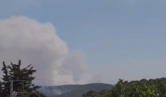 Hatay'da Yeni Bir Noktada Yangın !