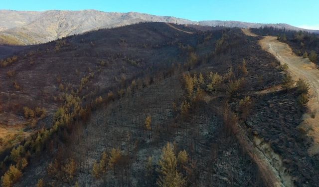 Antakya’daki Yangın Havadan Görüntülendi! İşte Yürek Yakan Görüntüler