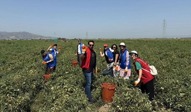Aydınlı gençlerden domates toplayan işçilere destek