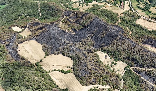 Bolu Göynük'teki orman yangınında 35 hektarlık alan zarar gördü