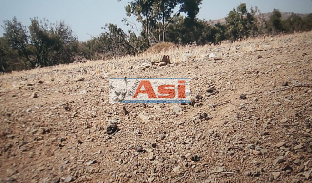 Hatay'da Yangın Öncesi Görülen Vahim Durum!