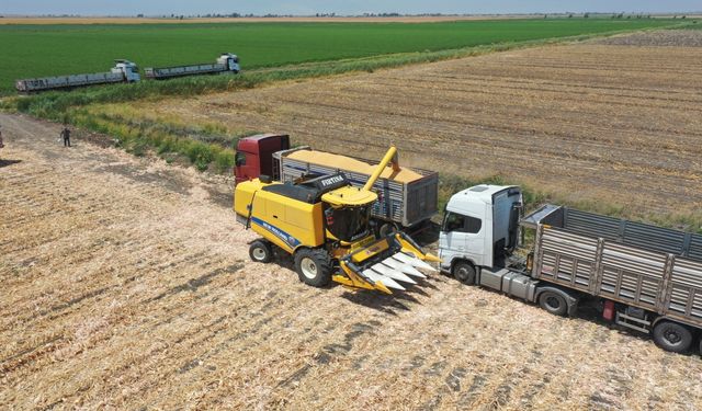 Hatay’da Çiftçiye Üretim Kısıtlaması!