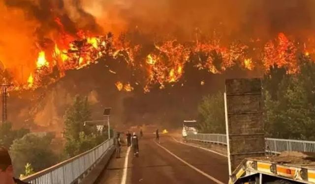 Eskişehir'de yangına müdahale eden 10 orman kahramanı şehit oldu