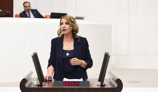 Hatay'da Maden Yasasıyla Gelen Çevre Felaketi! “Hatay Deney Sahası Oldu”