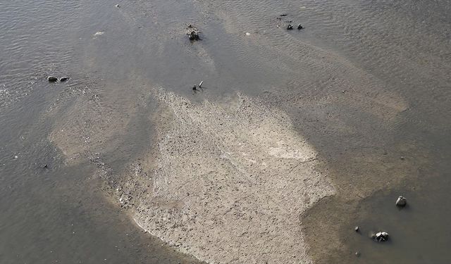 Meriç Nehri'nde su seviyesinin düşmesiyle tarihi ahşap köprünün ayakları ortaya çıktı