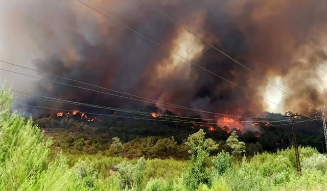 Lazkiye Yanıyor! Türkiye’den Giden Yardım Ekipleri Müdahaleye Katıldı