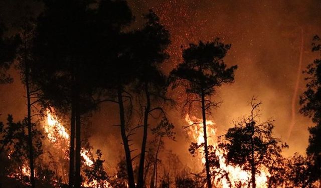 Suriye’deki Orman Yangınları Hatay’ı Tehdit Ediyor!