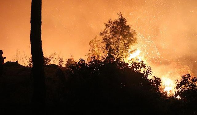 Günlerdir Söndürülemedi! Yangın Suriye tarafında Devam Ediyor!