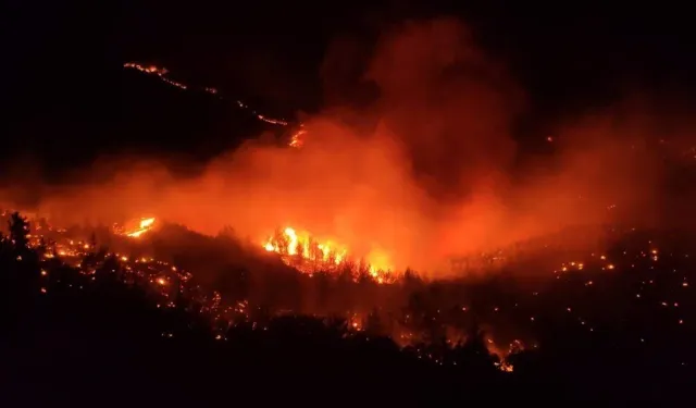 Samandağ Çanakoluk ve Tomruksuyu Bölgesinde Yangın Çıktı