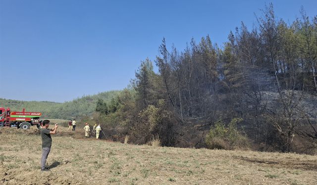Adana Karaisalı'da çıkan orman yangını kontrol altına alındı