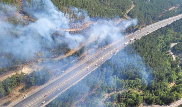 Adana Pozantı'da otomobilde çıkan yangın ormana sıçradı
