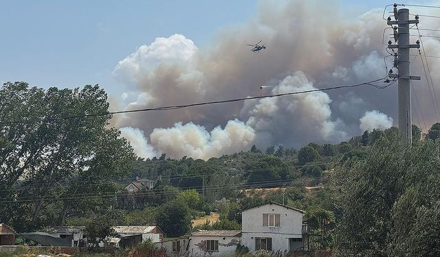 Çanakkale'de tarım arazisinde başlayıp ormana sıçrayan yangına müdahale ediliyor