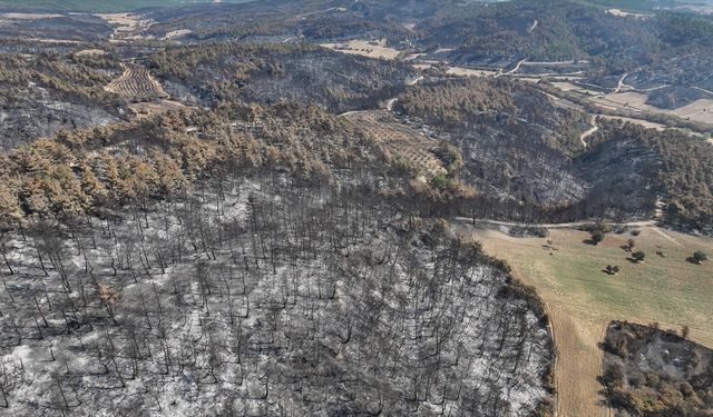 Çanakkale'de yangında zarar gören alanlar dronla görüntülendi