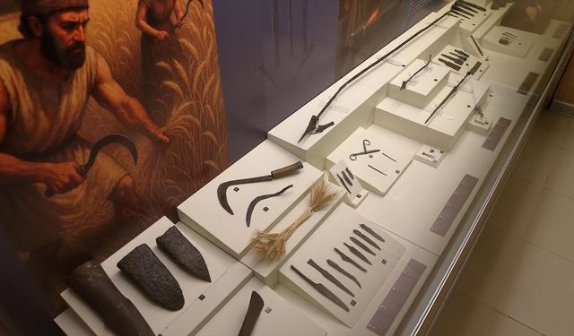 Çorum'da Hititlere ait 2 bin 800 yıllık orak ile Osmanlı dönemi orağı yan yana sergileniyor