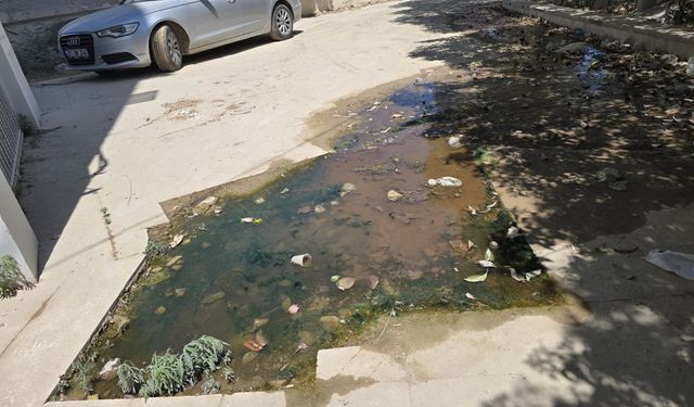 Armutlu’da Hastalık Saçan Kanalizasyon Patlağı Çözüm Bekliyor!
