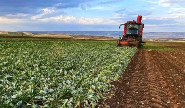 Hatay'da Gençler Tarıma Yönelsin Diye Süper Teşvik Paketi Geliyor!