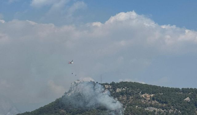 Antalya'da çıkan orman yangınına müdahale ediliyor