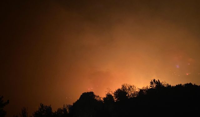 Antalya'nın Alanya ilçesinde ormanlık alanda yangın çıktı