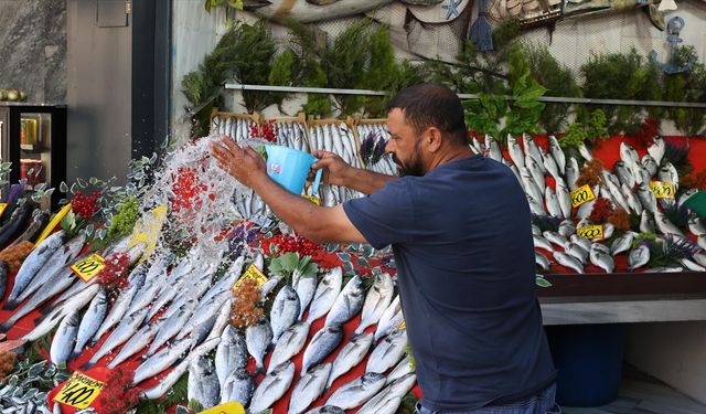 Balık sezonunun açılmasıyla tezgahlar doldu