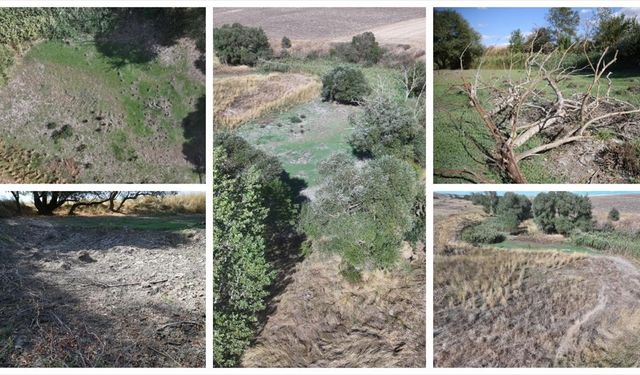 Edirne'deki Musabeyli Göleti kuraklık nedeniyle tamamen kurudu