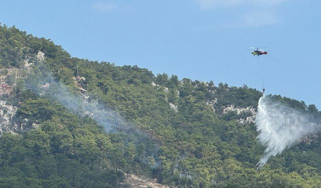GÜNCELLEME - Antalya'da çıkan orman yangını kontrol altına alındı