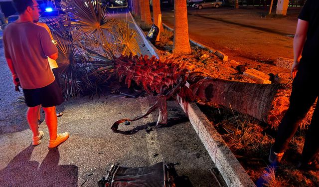 Hatay'da ağaca çarpan otomobildeki 3 kişi yaralandı